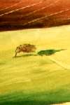 painting of a tree in a field