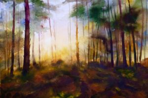Woodland Sunset